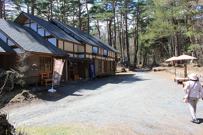 中ノ茶屋とふじざくら祭り 富士五湖巡りバスツアーお知らせブログ